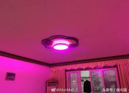 报告毛主席,我要换妈妈(看完笑死的宝宝们别找我,不关我事)~