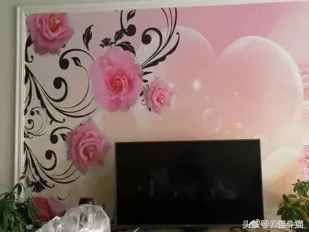 报告毛主席,我要换妈妈(看完笑死的宝宝们别找我,不关我事)~