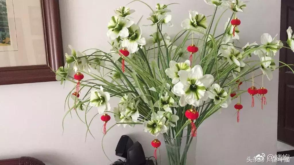 报告毛主席,我要换妈妈(看完笑死的宝宝们别找我,不关我事)~