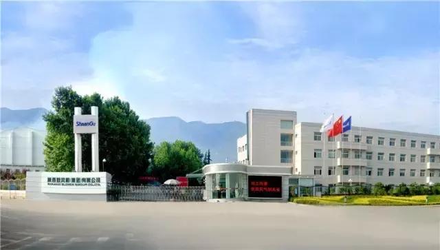 瑗垮畨骞存渶涓浗,瑗垮畨骞存渶涓浗鍐呭