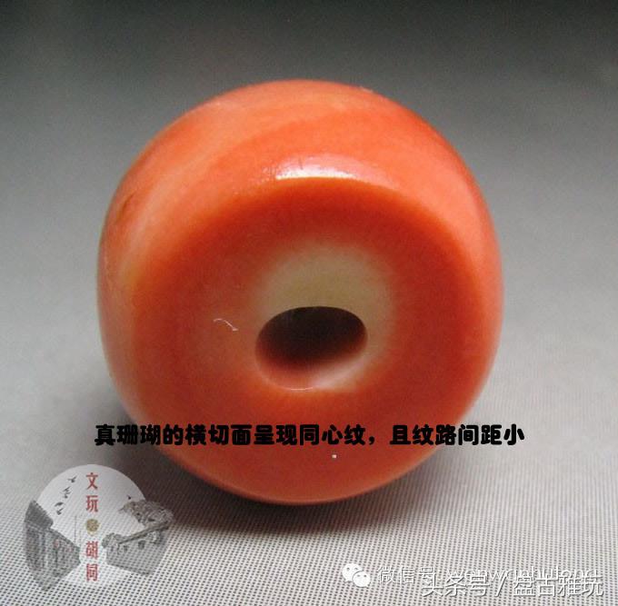 红珊瑚介绍方法,红珊瑚识别方法