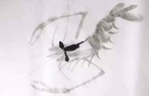 水墨大虾怎么画,水墨彩色大虾画