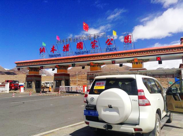 成都到拉萨租车费用多少,成都到稻城租车价格一天多少钱