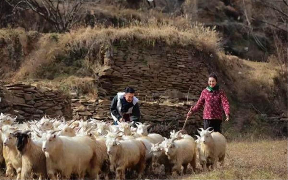 韩庚什么时候宣布恋情的,韩庚恋情是真的吗