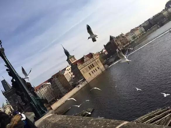 春节闲话：在山东*安泰**这个三线城市，聊旅游能聊出些啥？