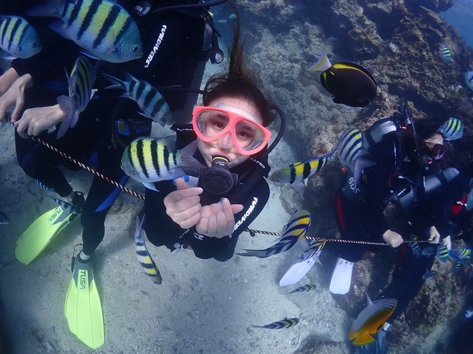 塞班岛旅游自由行五日游,说走就走的旅行巴厘岛