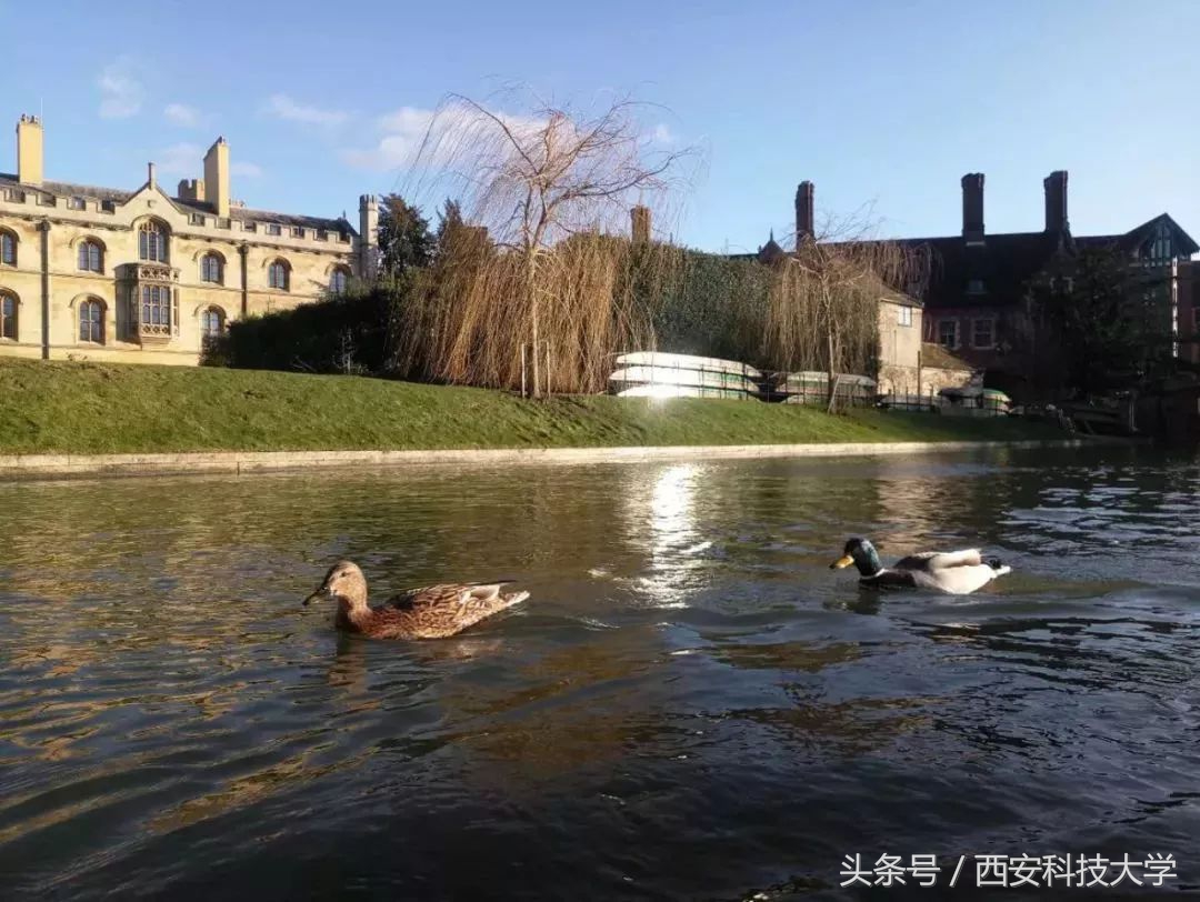 英国剑桥游学之行,去剑桥游学