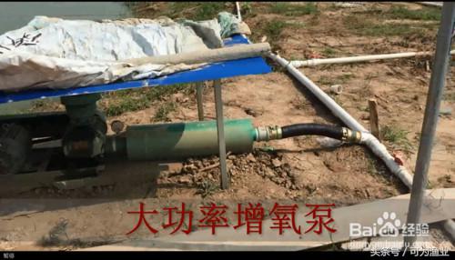 泥鳅池塘增氧设备,泥鳅养殖氧气机怎么用
