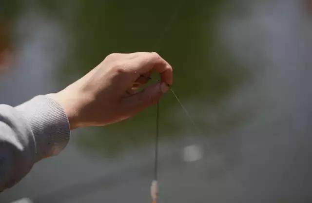 蚯蚓不带钩调漂的正确方法与技巧,怎么调漂才能一钩触底一钩悬浮
