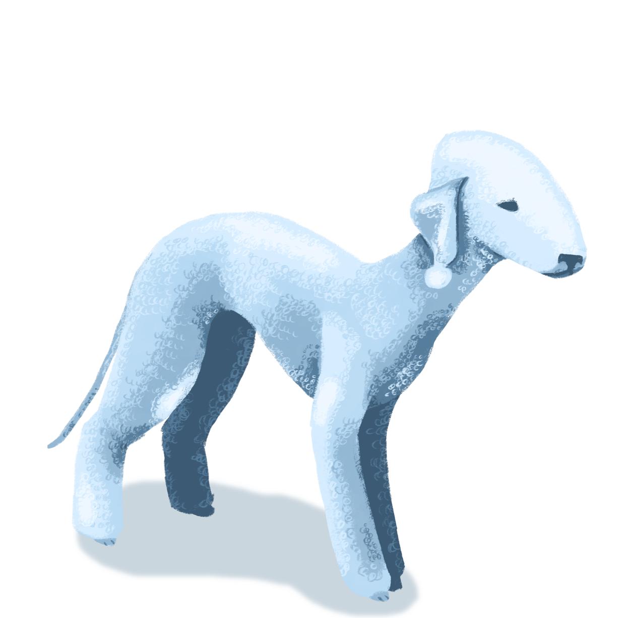 韩国插画师negrim的插画作品,插画师hana美食插画