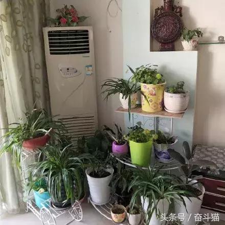 报告毛主席,我要换妈妈(看完笑死的宝宝们别找我,不关我事)~