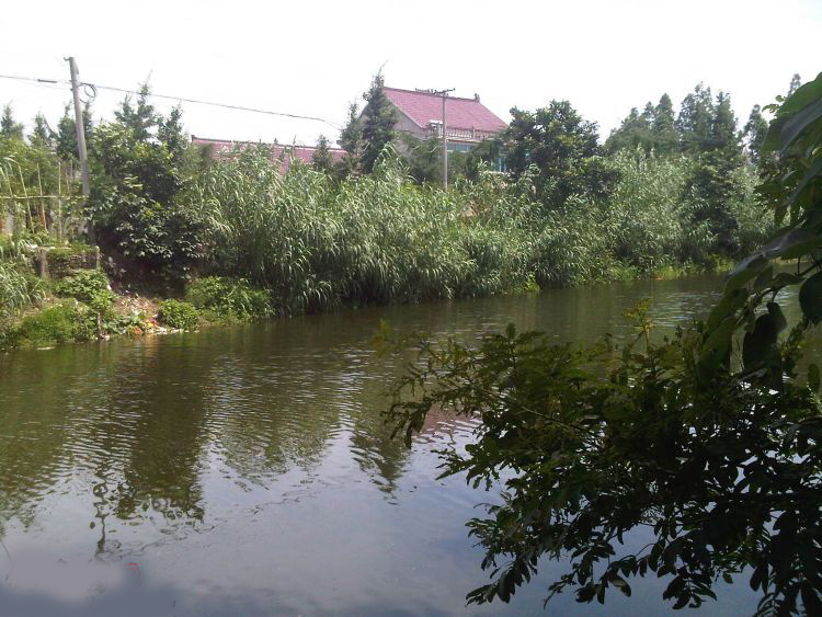 涔″湡浜虹墿绯诲垪浠嬬粛,涔″湡浜虹墿绯诲垪瑙嗛