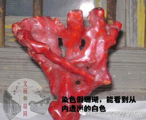 红珊瑚介绍方法,红珊瑚识别方法