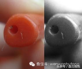 红珊瑚介绍方法,红珊瑚识别方法