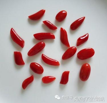 红珊瑚介绍方法,红珊瑚识别方法