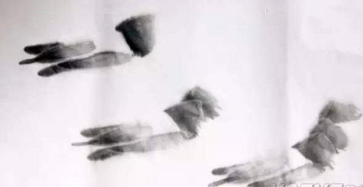 水墨大虾怎么画,水墨彩色大虾画