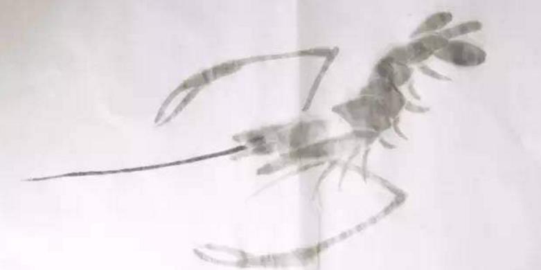 水墨大虾怎么画,水墨彩色大虾画