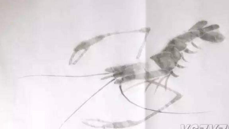 水墨大虾怎么画,水墨彩色大虾画