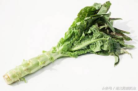 宝宝上火别着急3招教你如何搞定,宝宝上火别耽搁对症治疗是关键