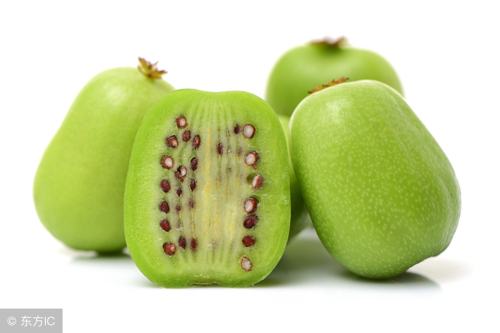 奇异莓是新品种吗,奇异莓产地