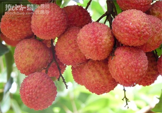 广东特色美食小吃推荐,广东各地特色美食小吃