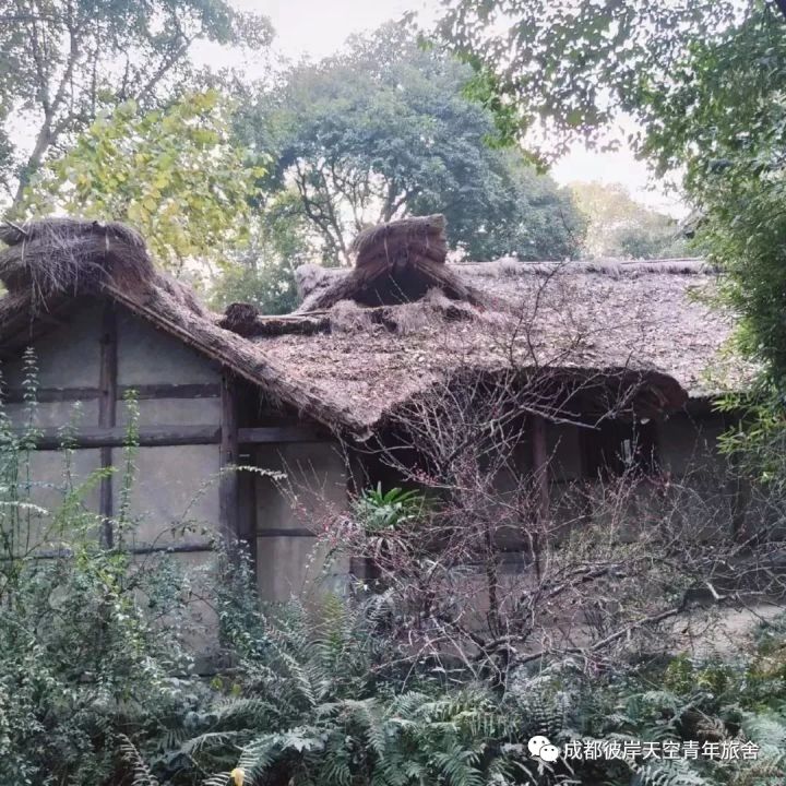 关于成都自驾游攻略的书,成都旅行全攻略3-4天自由行