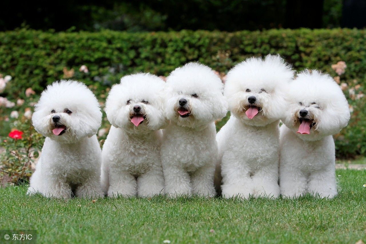 赚钱的30个点子,商界十大赚钱点子