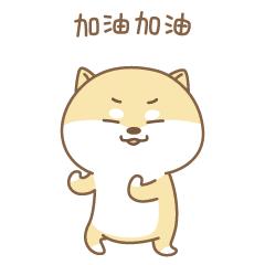 郑州一秒入夏的视频,民生大参考最新视频郑州一秒入夏