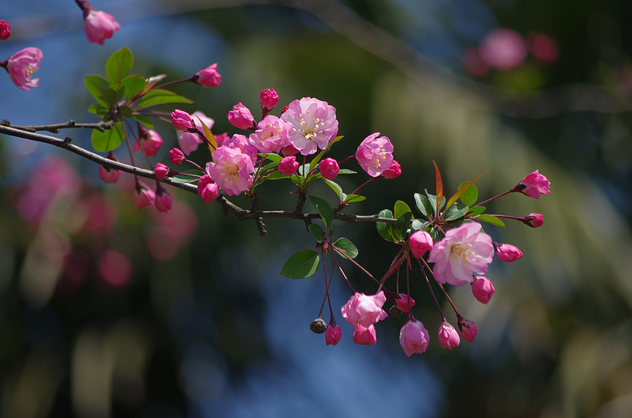 郑州一秒入夏的视频,民生大参考最新视频郑州一秒入夏