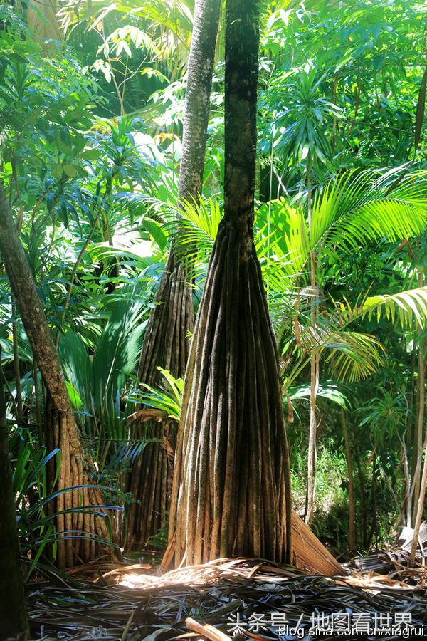 塞舌尔旅游者,人间天堂塞舌尔