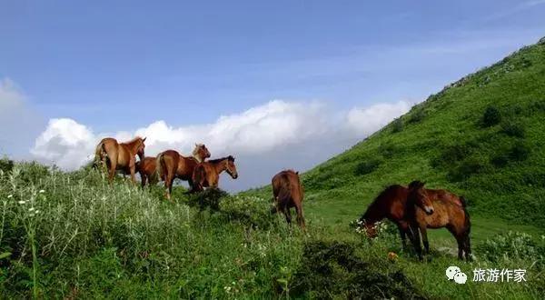中国唯一的山峰,中国三大神山是哪三个山脉