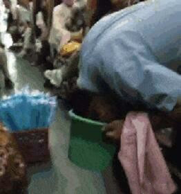 月入5500的文案,三千的工资干七八千的活文案