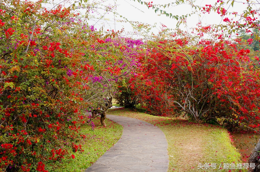 云南5a景区地图一览表,云南5a景区名单最新