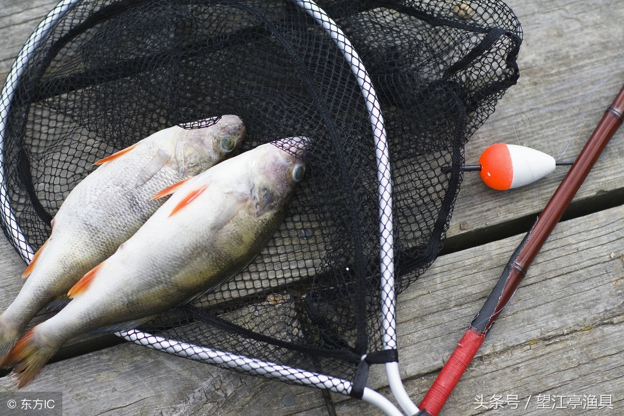 早春钓鱼的讲究和技巧图片,早春钓鱼方法与技巧