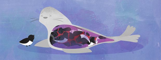 科普:生吃鸟屎营养丰富,用青蛙验孕?这些你没听过的冷知识!