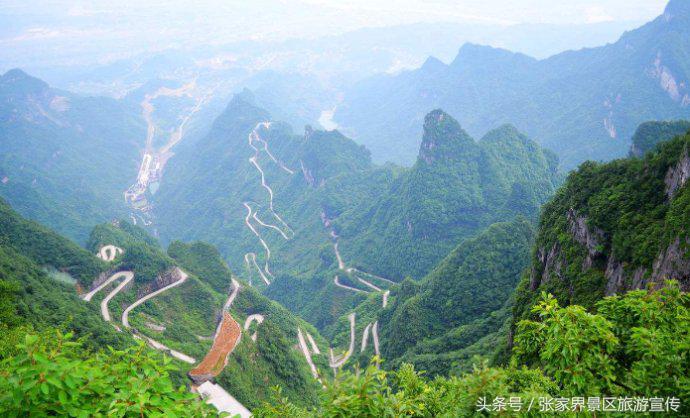 张家界旅游攻略导游佳佳,张家界导游阳阳旅游攻略