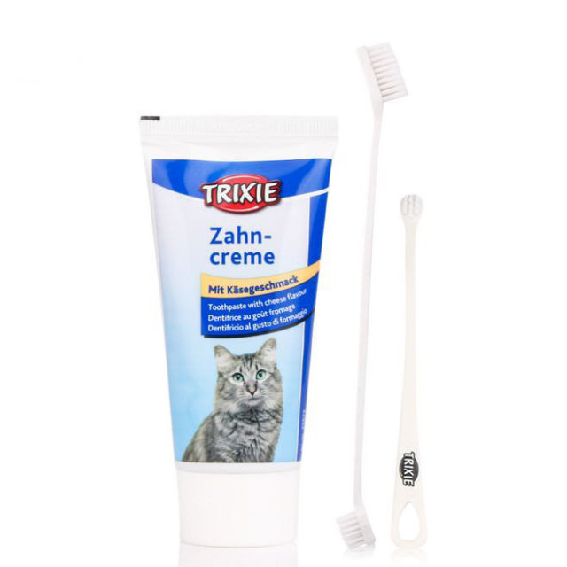 家里的主子太高冷?试试送这些礼物给它呀~