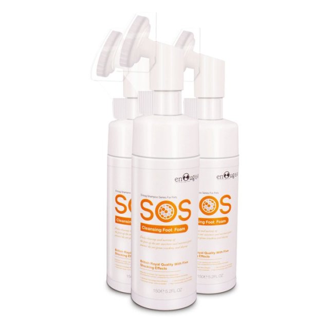 家里的主子太高冷?试试送这些礼物给它呀~