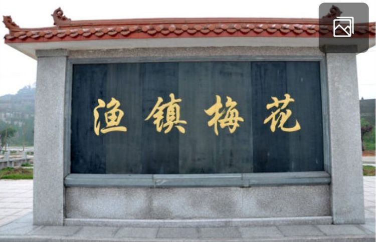 舌尖上的福建鱼丸,舌尖上的美食多少钱一箱