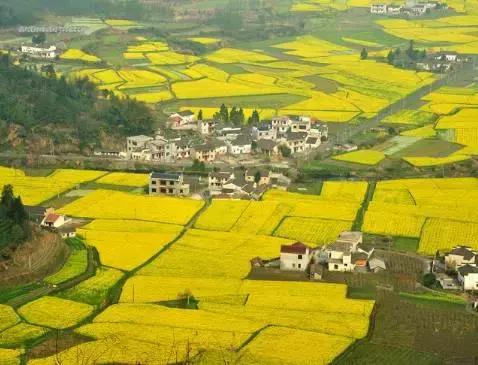 发现中国最美村镇,发现中国最美民宿