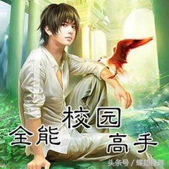 校园全能高手,校园全能高手结局