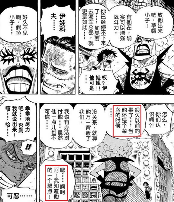 海贼王里的克洛克达尔是不是女的,海贼王克洛克达尔