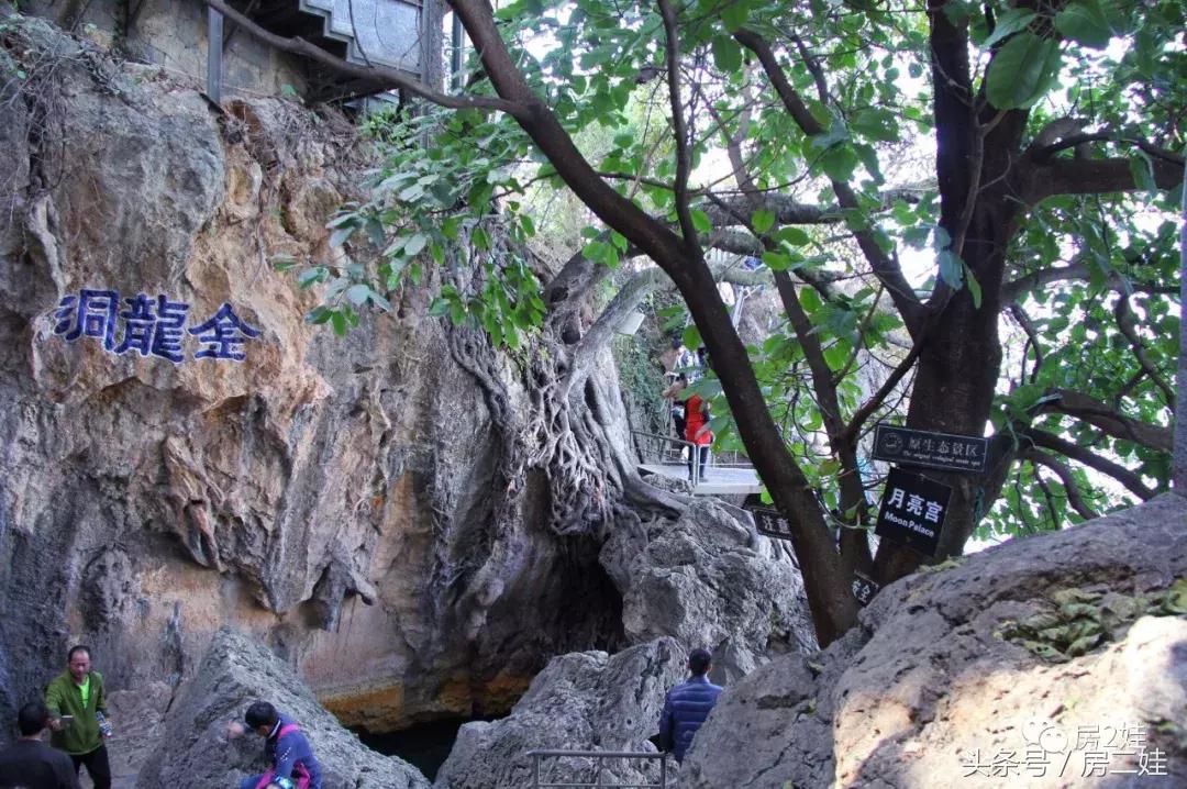 去了趟大理双廊亲自见识了杨丽萍的最美“豪宅”