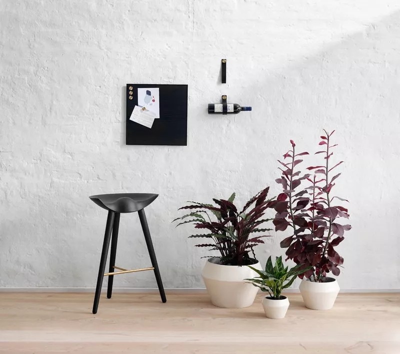 跟着“盐系”人设一起火了的，还有盐系家居