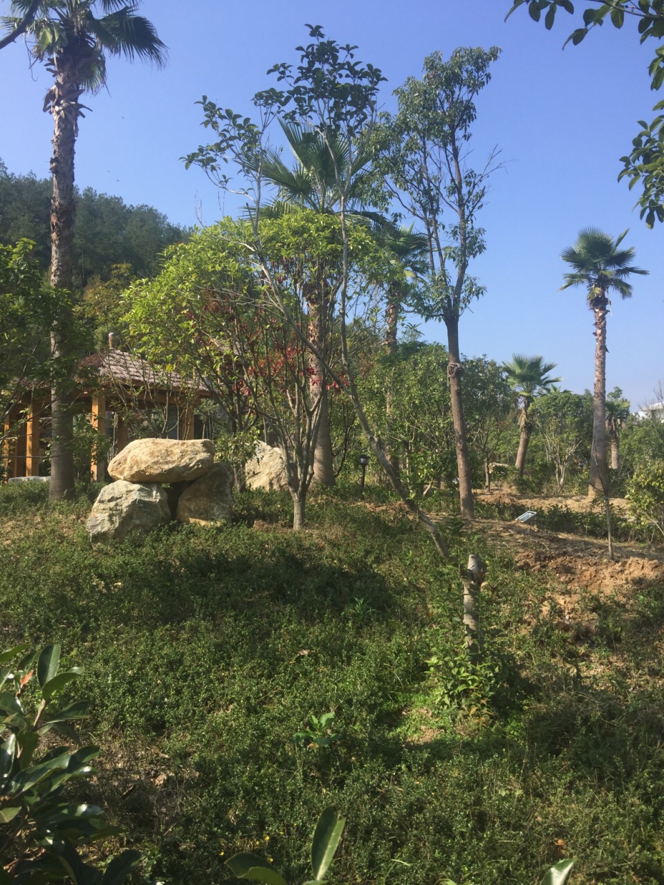 黄冈罗田三里畈温泉旅游度假区,黄冈三里畈温泉度假村