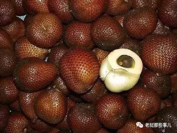 有哪些好吃又稀奇的热带水果,奇怪的热带水果哪些好吃