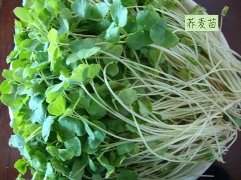 每逢佳节胖三斤吃几种食物来养生,每逢佳节胖三斤教你节后轻食刮油