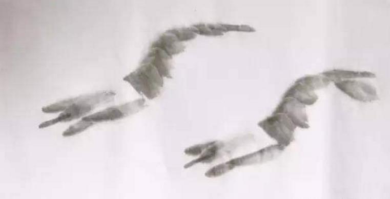 水墨大虾怎么画,水墨彩色大虾画