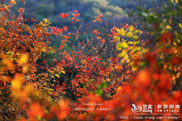 北京最全旅游攻略,北京旅游超全攻略最新