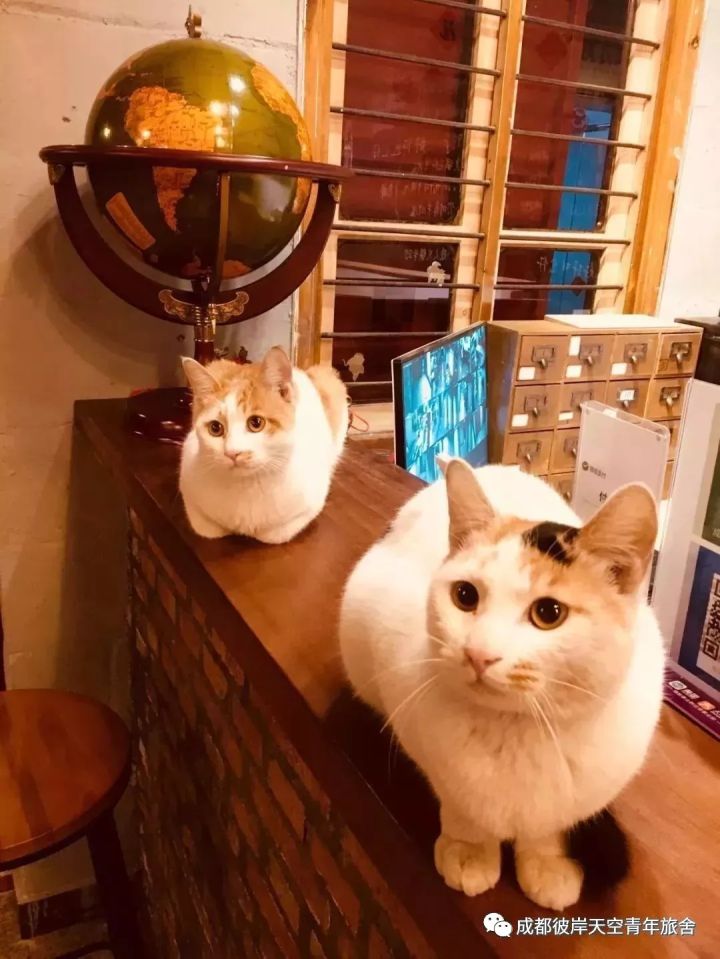 关于成都自驾游攻略的书,成都旅行全攻略3-4天自由行